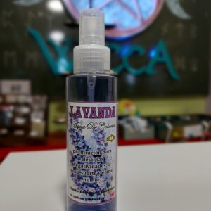 Lavanda